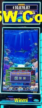 Live Casino Winmi